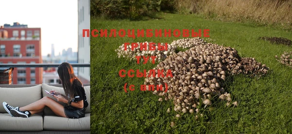 трава Бородино