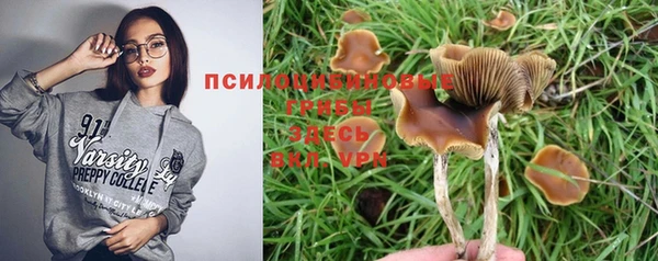 Альфа ПВП Михайлов