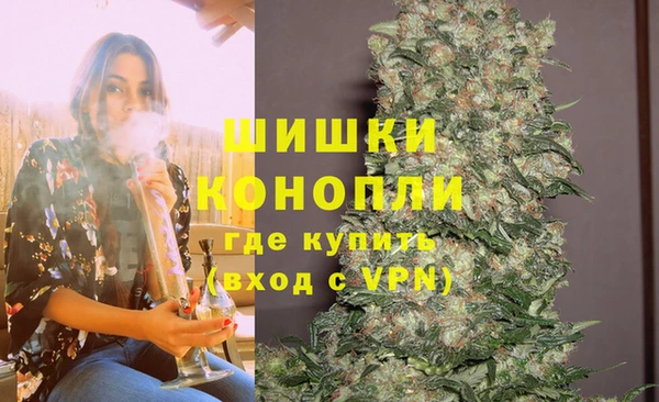 трава Бородино