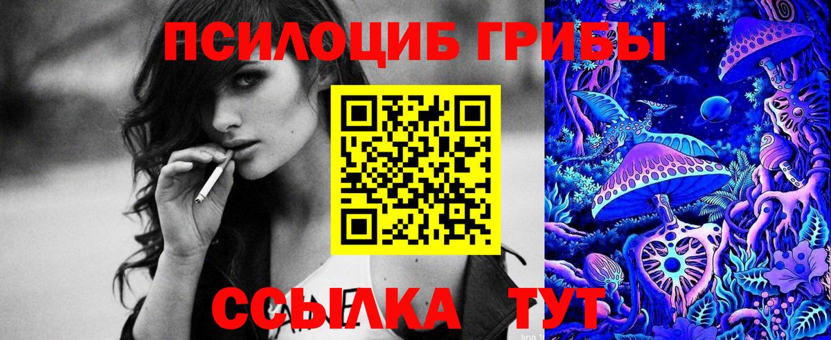 Псилоцибиновые грибы прущие грибы  Вход с VPN  Бор  Псилоцибиновые грибы прущие грибы 