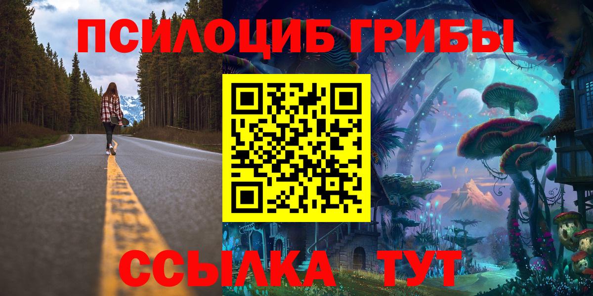 Псилоцибиновые грибы Cubensis Бор